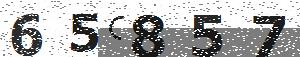 تصویر امنیتی